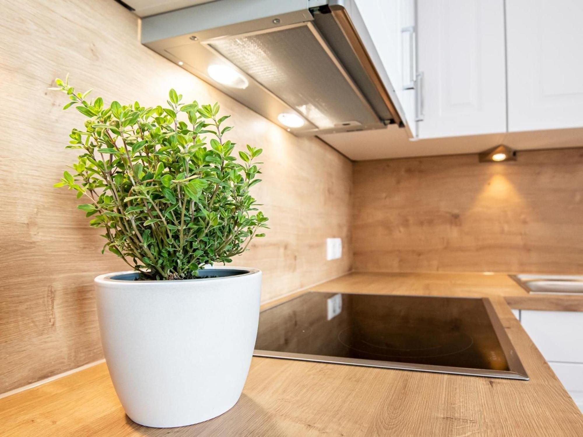 Berolina 804 Penthouse Mit Meerblick Dahme  Exterior photo